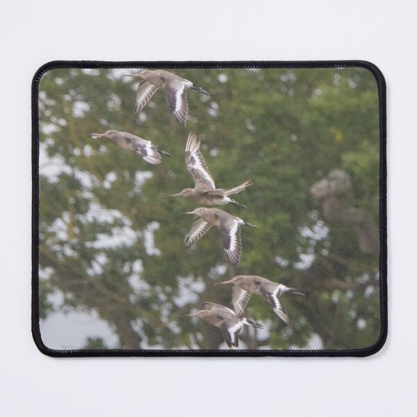 Item preview, Black Tailed Godwit designed and sold by LaurenTucker.
