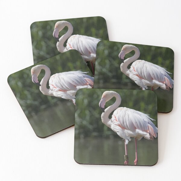 Item preview, Greater Flamingo designed and sold by LaurenTucker.