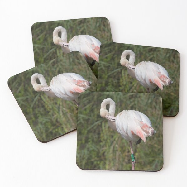 Item preview, Greater Flamingo designed and sold by LaurenTucker.
