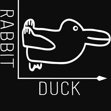 Artwork thumbnail, Wittgenstein Rabbit Duck Illusion  by PAULABIG