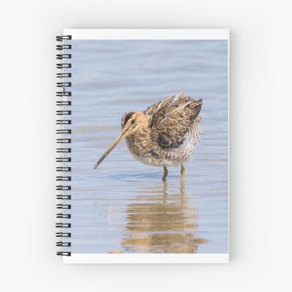 Item preview, Common Snipe designed and sold by LaurenTucker.