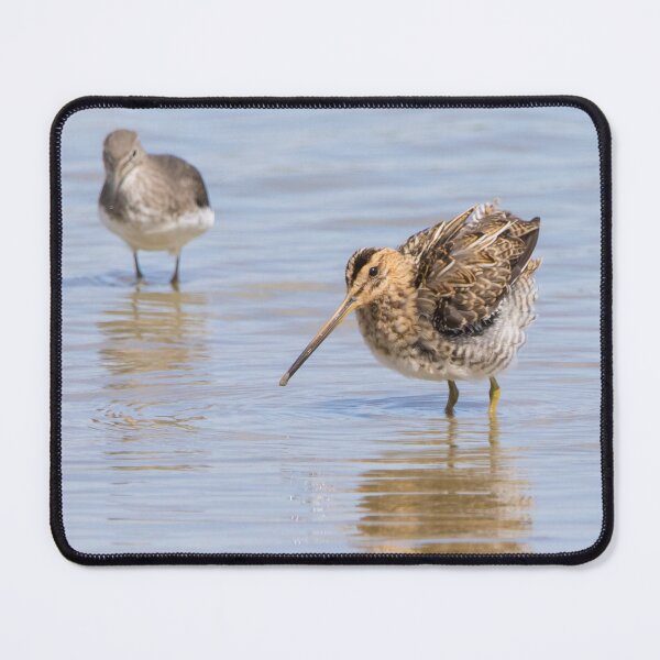 Item preview, Common Snipe designed and sold by LaurenTucker.