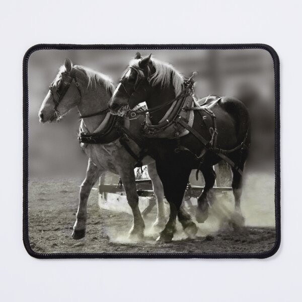 Item preview, Pride Strength Purpose, at the Sandwich Fair designed and sold by Wayne King.