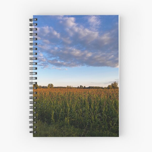 Item preview, Cornfield at Golden Hour designed and sold by ColourfulPlaces.