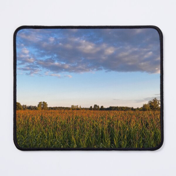 Item preview, Cornfield at Golden Hour designed and sold by ColourfulPlaces.