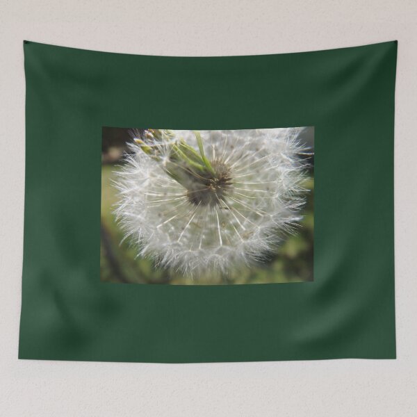 Item preview, Close Your Eyes And Make A Wish designed and sold by lornakay.