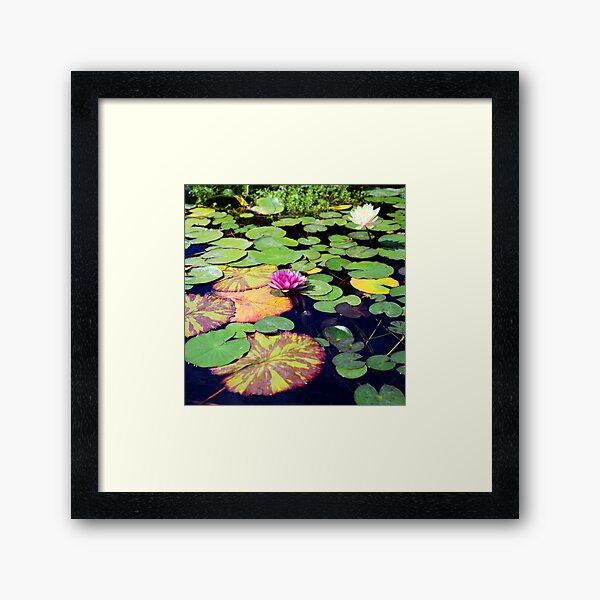 Item preview, Exquisite Tropical Water Lilies In Secret Pond designed and sold by DEC02.