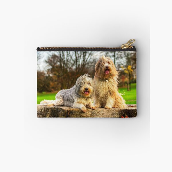 Item preview, Collies barbudos posando en el viento designed and sold by Paul Thompson Photography.