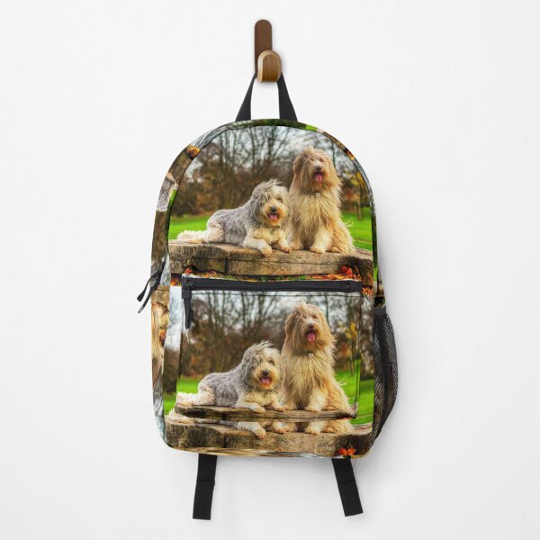 Item preview, Bearded Collies Posing In The Wind designed and sold by Paul Thompson Photography.
