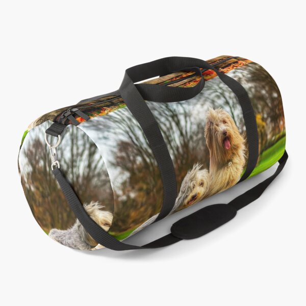 Item preview, Bearded Collies Posing In The Wind designed and sold by Paul Thompson Photography.