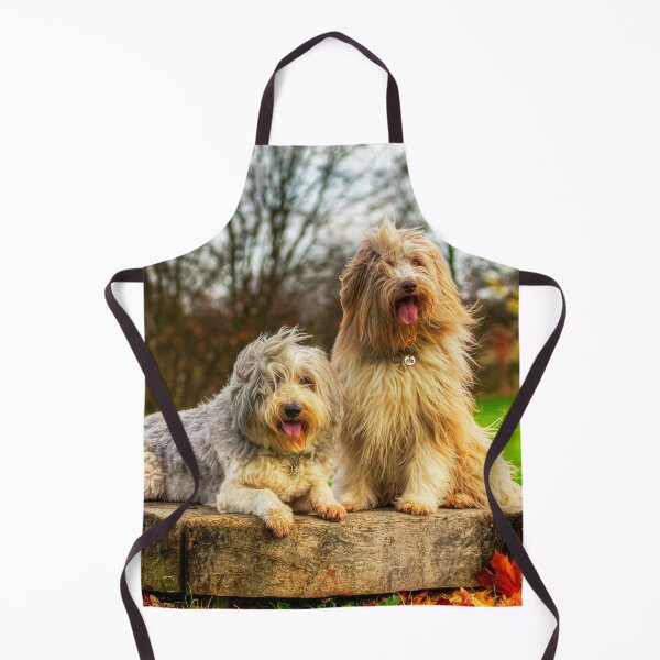 Item preview, Bearded Collies Posing In The Wind designed and sold by Paul Thompson Photography.