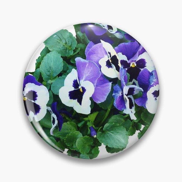Artikelvorschau, Bündel purpurrote und weiße Pansies entworfen und verkauft von Susan Savad.