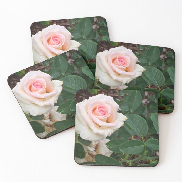 Item preview, Rosen cheeks designed and sold by Prints-ByErin.