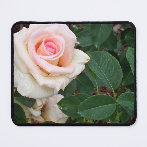 Item preview, Rosen cheeks designed and sold by Prints-ByErin.