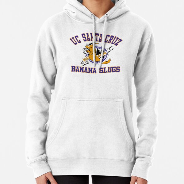 Ucsc hoodie on sale