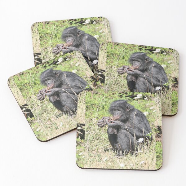 Item preview, vr 3396 / finition 2023  5 - Singes " Les Bonobos " Okaio Créations Olavia-Olao designed and sold by o.okaïo.