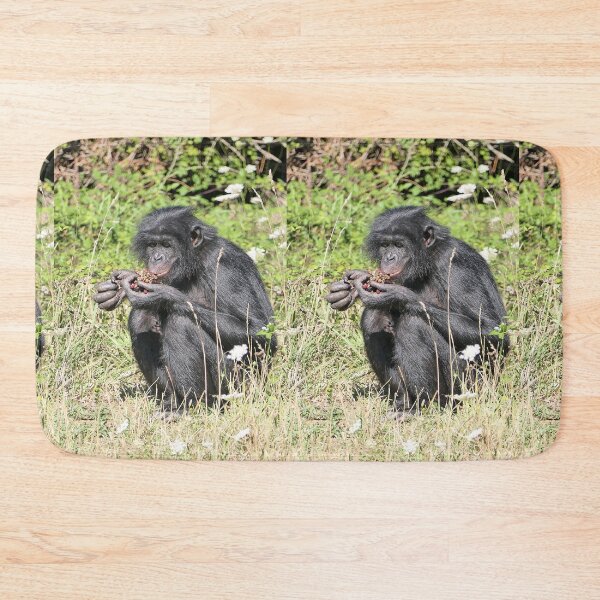 Item preview, vr 3396 / finition 2023  5 - Singes " Les Bonobos " Okaio Créations Olavia-Olao designed and sold by o.okaïo.