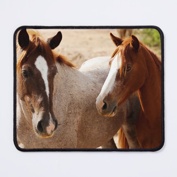 Item preview, Wild Horses in the Desert designed and sold by Kate Purdy.