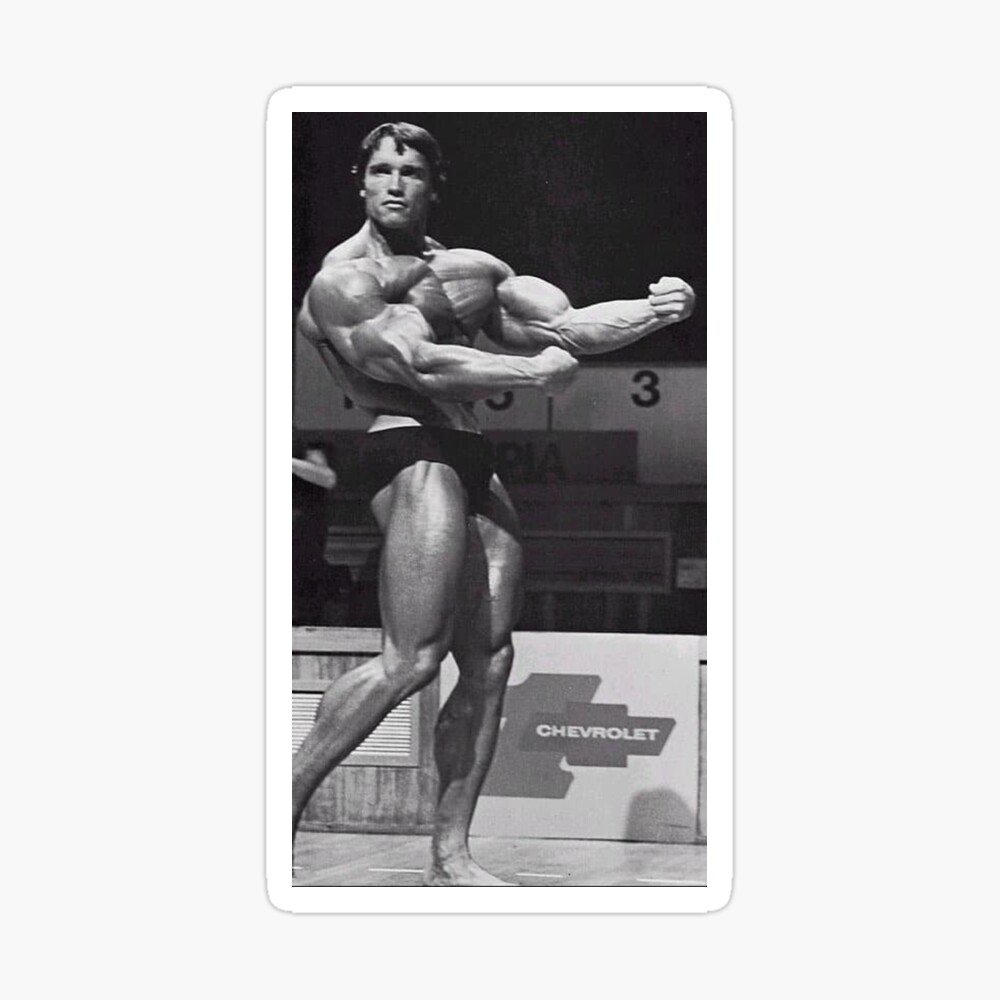 Arnold Schwarzenegger | Arnold schwarzenegger bodybuilding, Schwarzenegger  bodybuilding, Arnold schwarzenegger