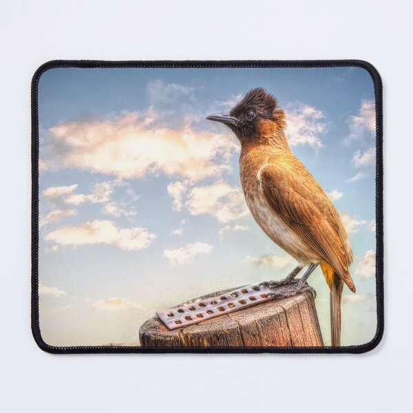 Item preview, Common Bulbul  designed and sold by Viv Thompson Photography .