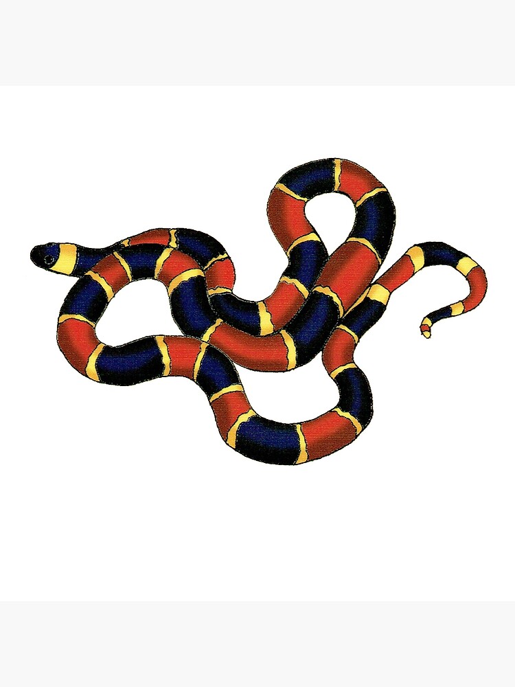 Serpiente de coral Lámina rígida