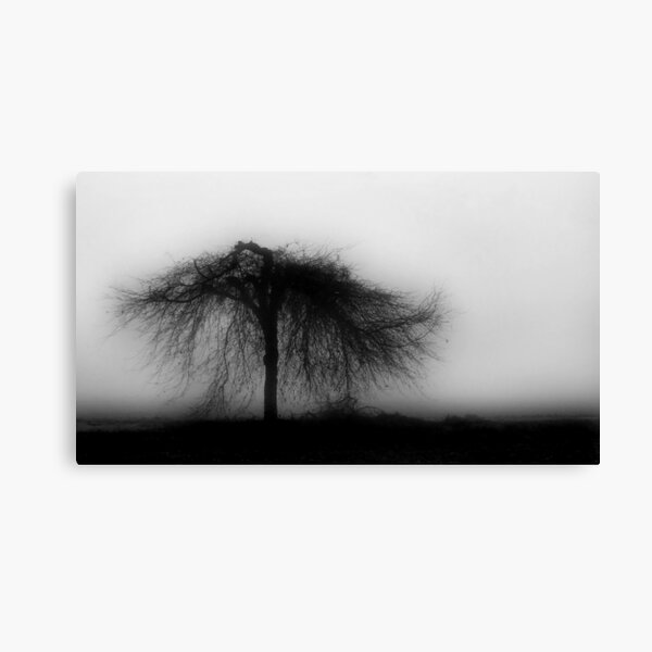 Standing Alone Canvas Print