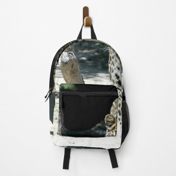 Item preview, African Leopard Walking Straight Toward The Photographer (Me!) designed and sold by DEC02.