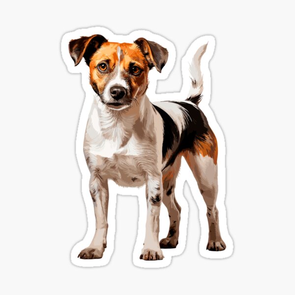 Colorful Jack Russell Terrier Dog, Jack Russell Terrier Portrait, Dog  Sticker Clip art, Dog Lover design, AI generated. 24240920 PNG