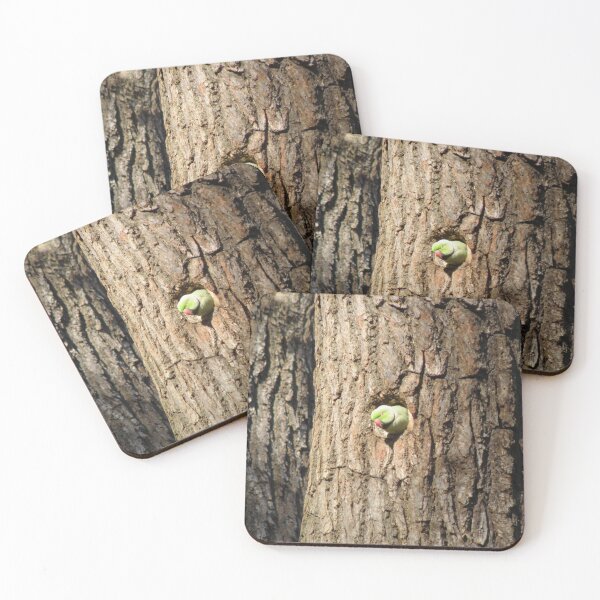 Item preview, Ring Necked Parakeet Peeking out of a tree hole photograph designed and sold by naturegallery.