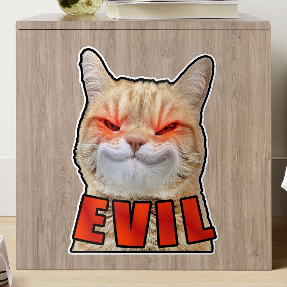 Evil Cat