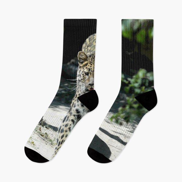 Item preview, African Leopard Walking Straight Toward The Photographer (Me!) designed and sold by DEC02.