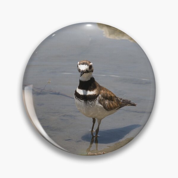 Item preview, Little Killdeer in the Lake designed and sold by LayoverJourney.