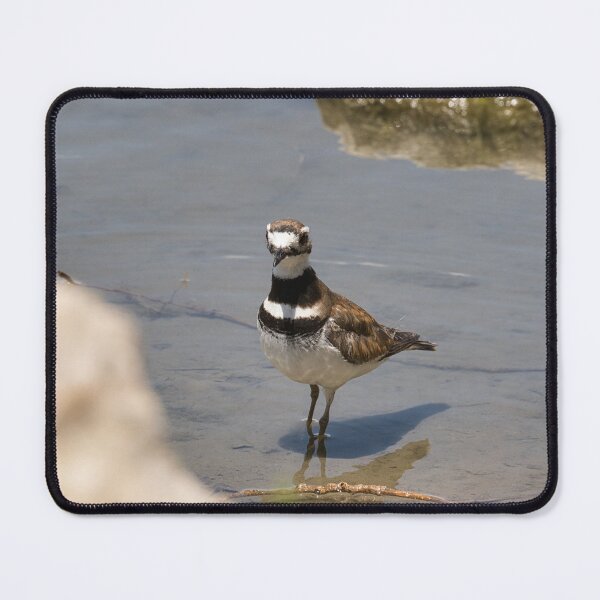 Item preview, Little Killdeer in the Lake designed and sold by LayoverJourney.