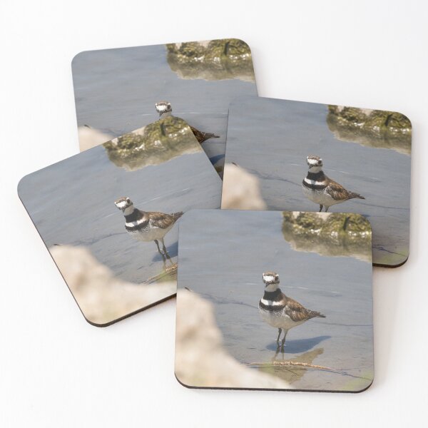 Item preview, Little Killdeer in the Lake designed and sold by LayoverJourney.