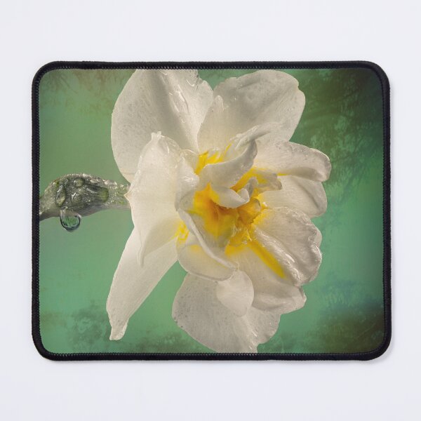 Item preview, Spring Fling designed and sold by DawnPhotoArt.