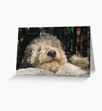 Shaggy Dog Greeting Card