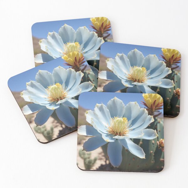 Item preview, Desert Elegance: Macro Cactus Blossom in Bloom #2 designed and sold by Electric-Easel.