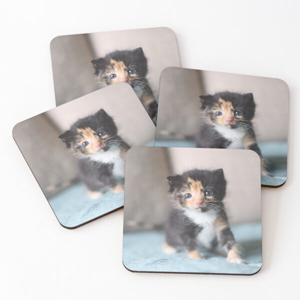 Item preview, Tortie kitten designed and sold by GreyFeatherPhot.