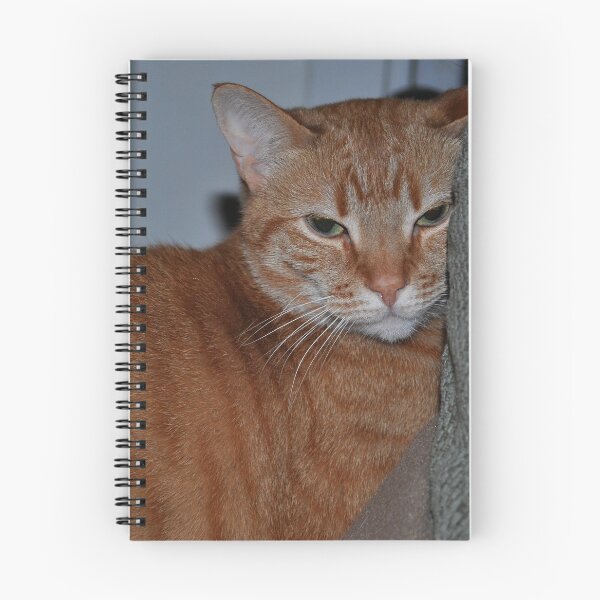 Item preview, King Rusty designed and sold by Rebecca Bryson.