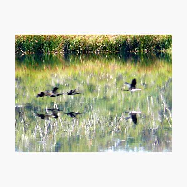 Go! Photographic Print