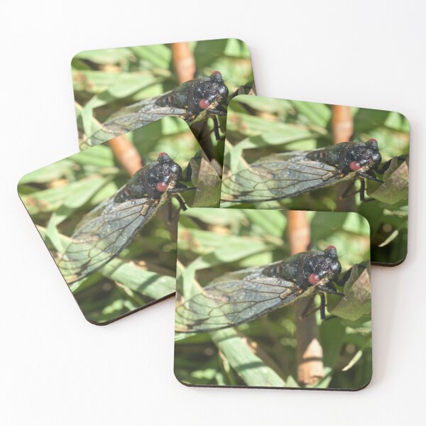 Item preview, Cicada  designed and sold by D-GaP.