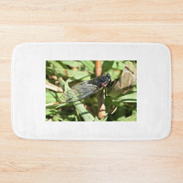 Item preview, Cicada  designed and sold by D-GaP.