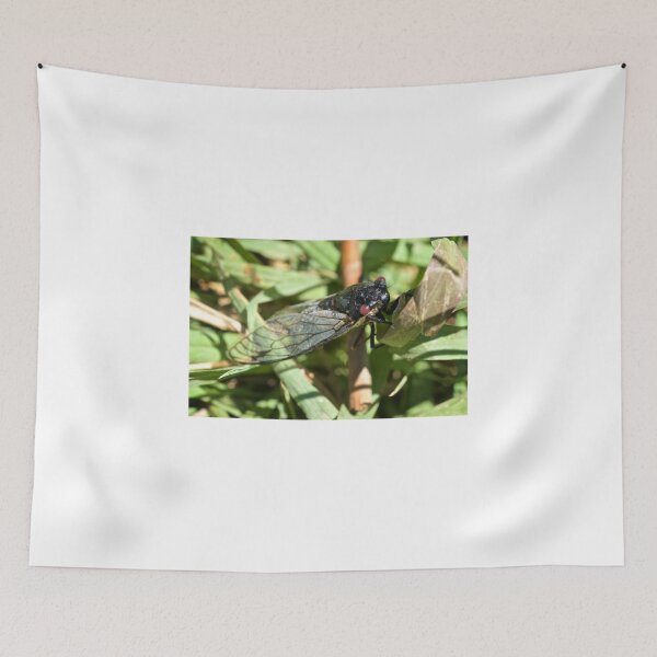 Item preview, Cicada  designed and sold by D-GaP.