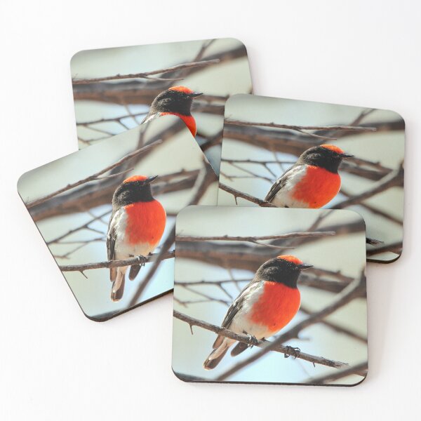 Item preview, Red-capped Robin - Male designed and sold by Steve Sass.