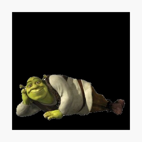 Shrek Meme Photographic Prints for Sale