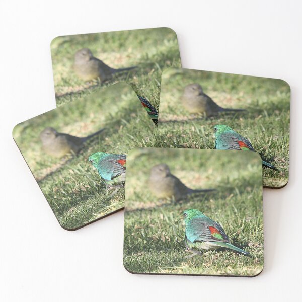 Item preview, Red-rumped Parrot - male and female designed and sold by Steve Sass.