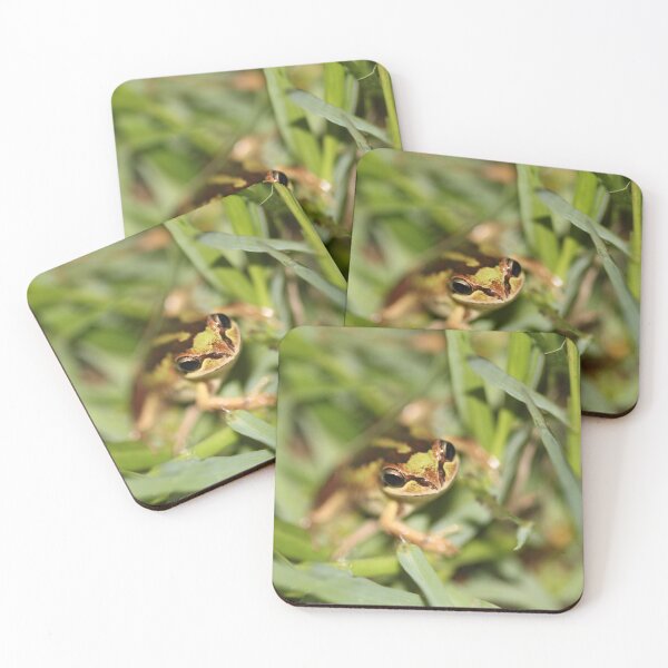 Item preview, Southern Brown Tree Frog designed and sold by Steve Sass.