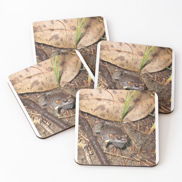Item preview, Tyler's Toadlet designed and sold by Steve Sass.