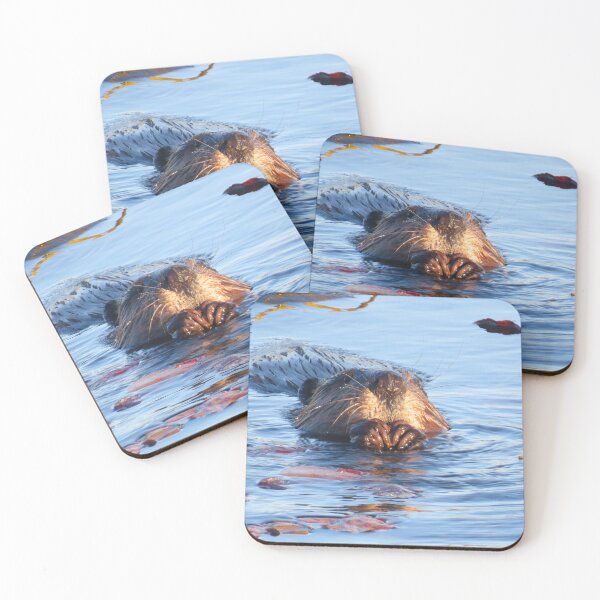 Item preview, Beaver Eating Lily Pads (2) designed and sold by Monica-Stroud.