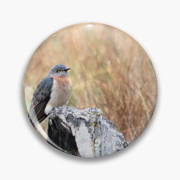 Item preview, Fan-tailed Cuckoo designed and sold by Steve Sass.